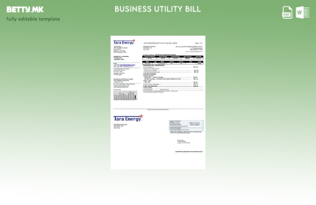 Сметка за комунални услуги во САД Тексас Тара Енерџи